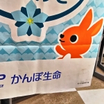 かんぽ生命、30NC10劣後ドル債のIPT提示