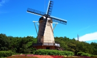 オランダの風車(フリーサイトより)