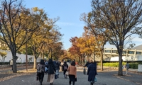 秋の代々木公園（2022年11月、東京・渋谷）