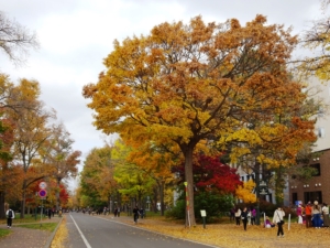 北海道大学のキャンパス(2023年10月30日、札幌市北区)