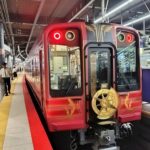 NANKAI債：新商号初回は2編成、10年で短期決戦