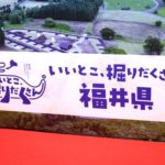 福井県20年定償債：主幹事方式3本で200億円